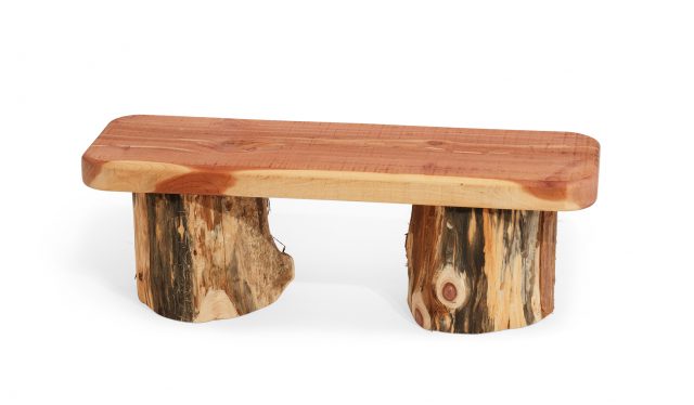 Childrens Wood Bench with Log Legs
