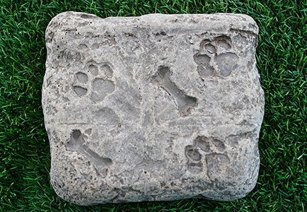 Fossil Stepper Footprints