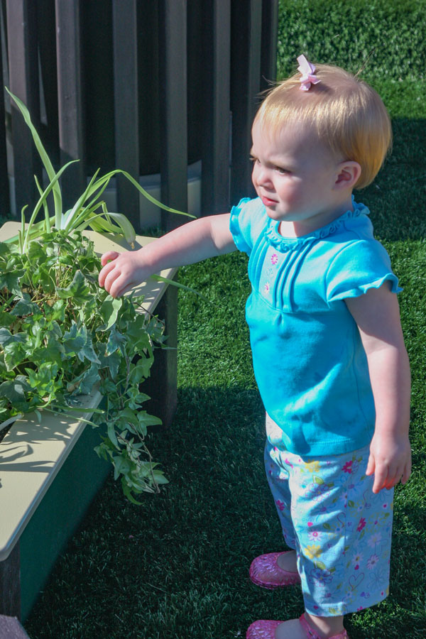 https://natureofearlyplay.com/wp-content/uploads/sites/2/2023/05/Early-Childhood-Raised-Garden-Bed-Benefits.jpg